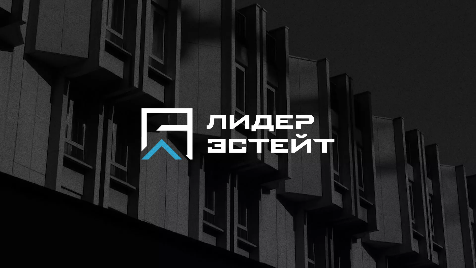 Разработка логотипа агентства недвижимости «Лидер Эстейт» в Удачном